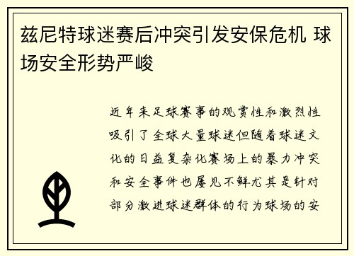 兹尼特球迷赛后冲突引发安保危机 球场安全形势严峻